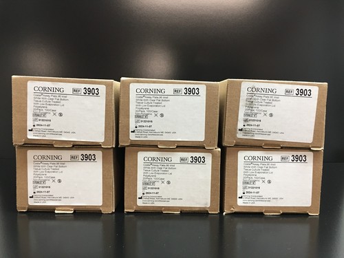 Corning ref 3903 well flat - corning,