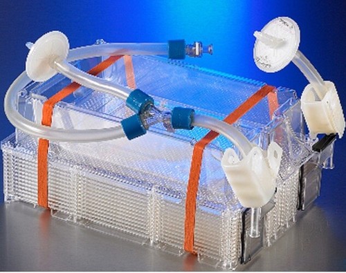 Corning 10012 cellbind - corning,